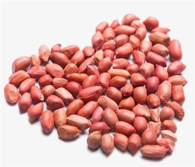 Frische große rohe Erdnüsse