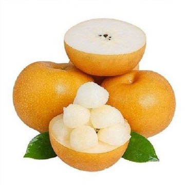 Asiatische Qiuyue-Birne